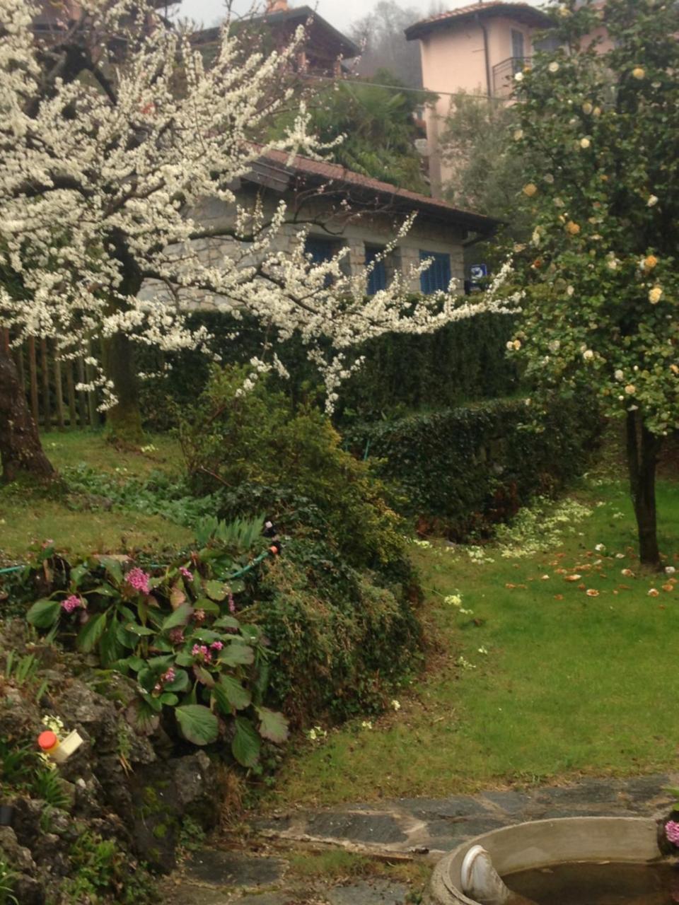Villa Maria Lago Maggiore Reno Di Leggiuno Exteriér fotografie