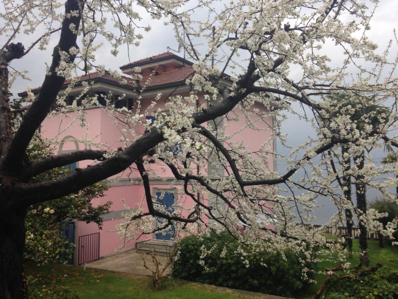 Villa Maria Lago Maggiore Reno Di Leggiuno Exteriér fotografie